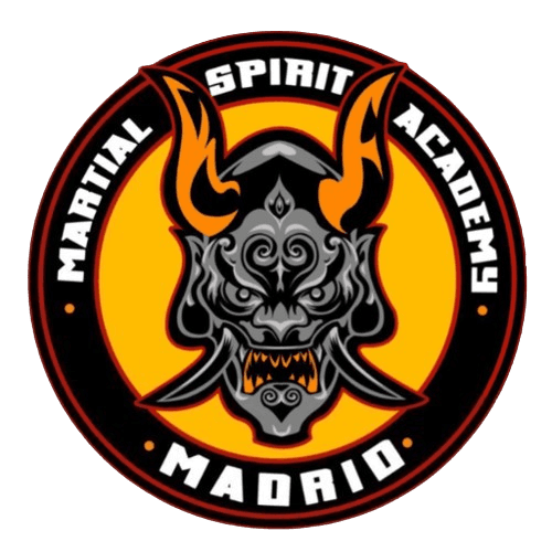 Academy logo 2