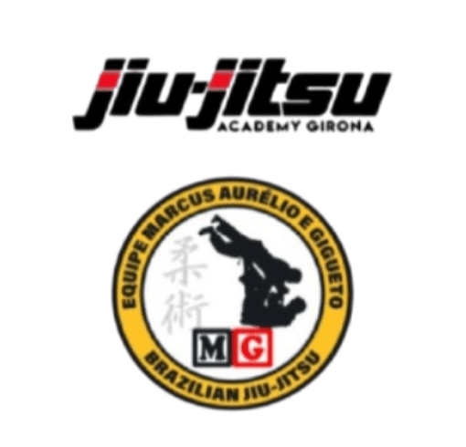 Academy logo 3