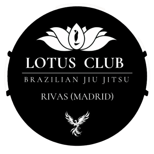 Academy logo 4